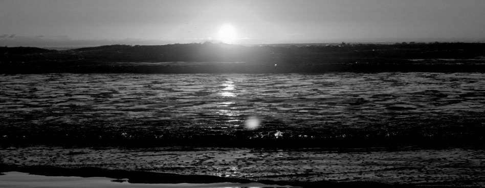 求一个轰炸别人手机号码软件